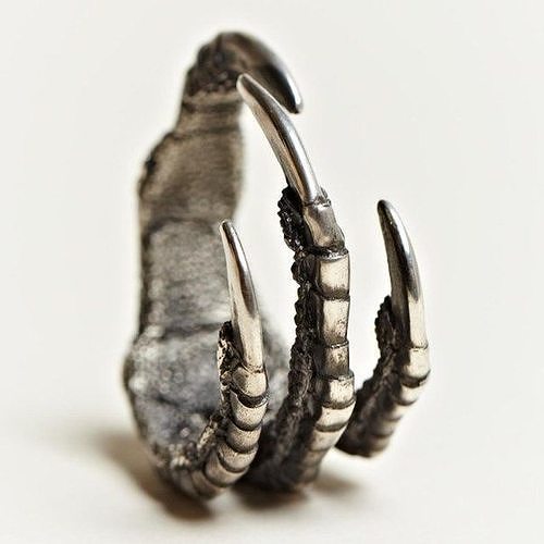 Claws ring  Free 3D print model