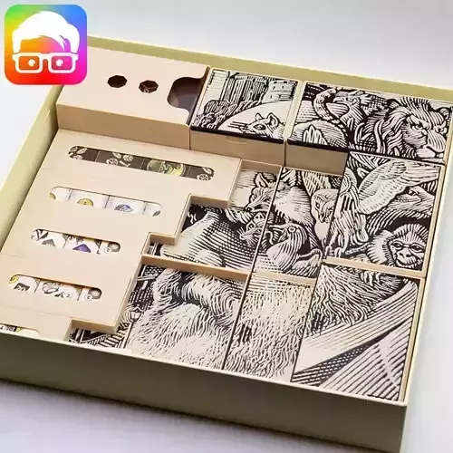 DARWINS JOURNEY INSERTS ORGANIZER BY AM MEDIA 3D print model