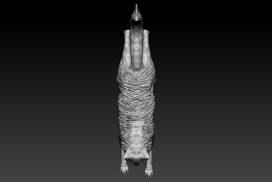 Maine Coon Cat 3D Printable Model 3D print model_3