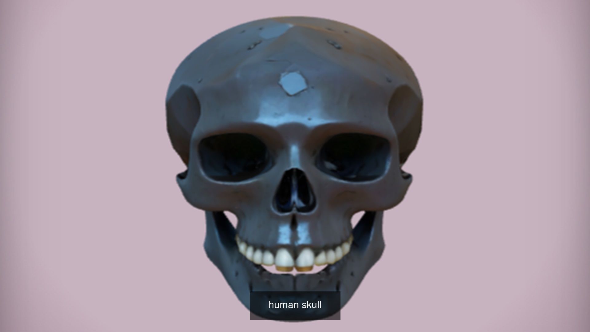Skull 3D model collection for game ready _43