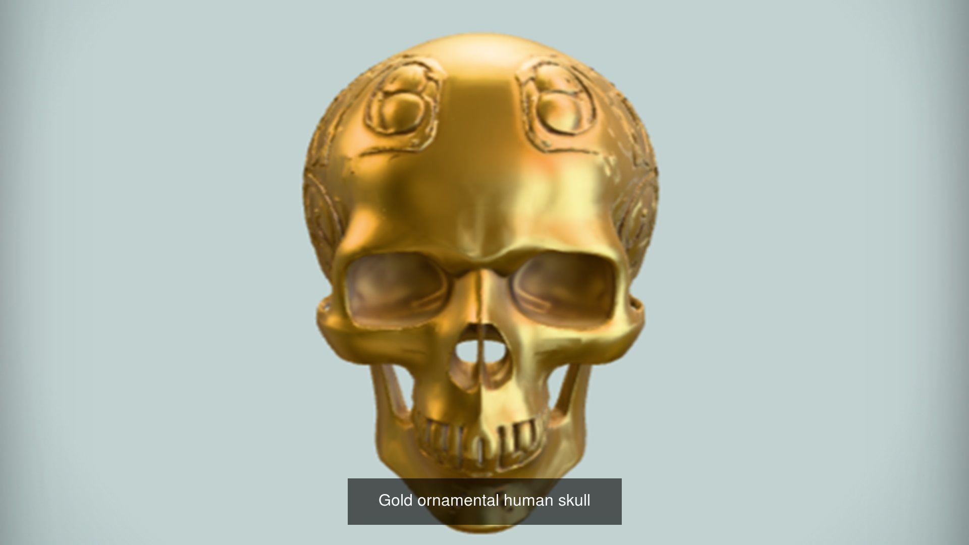 Skull 3D model collection for game ready _30