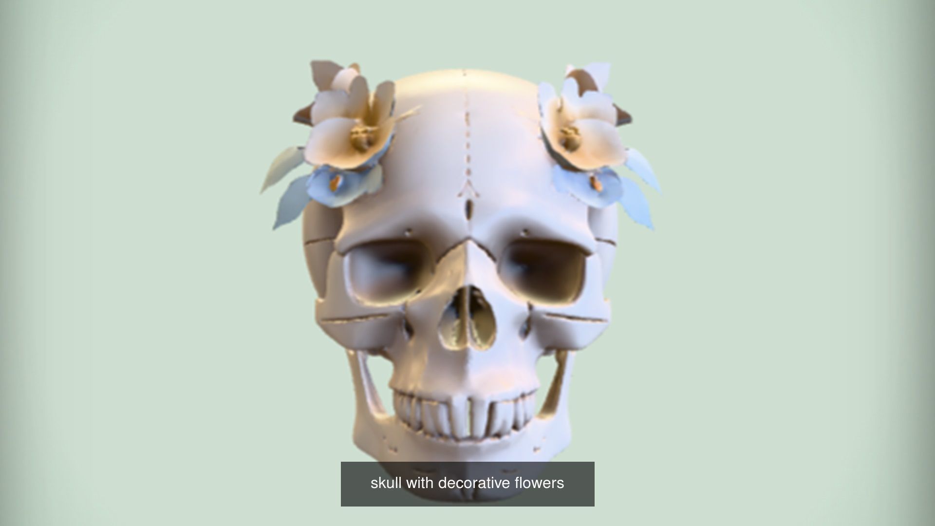 Skull 3D model collection for game ready _64