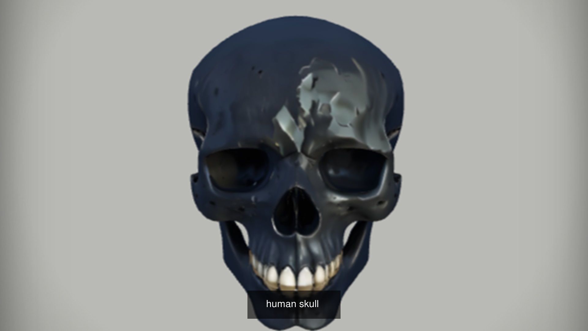 Skull 3D model collection for game ready _42
