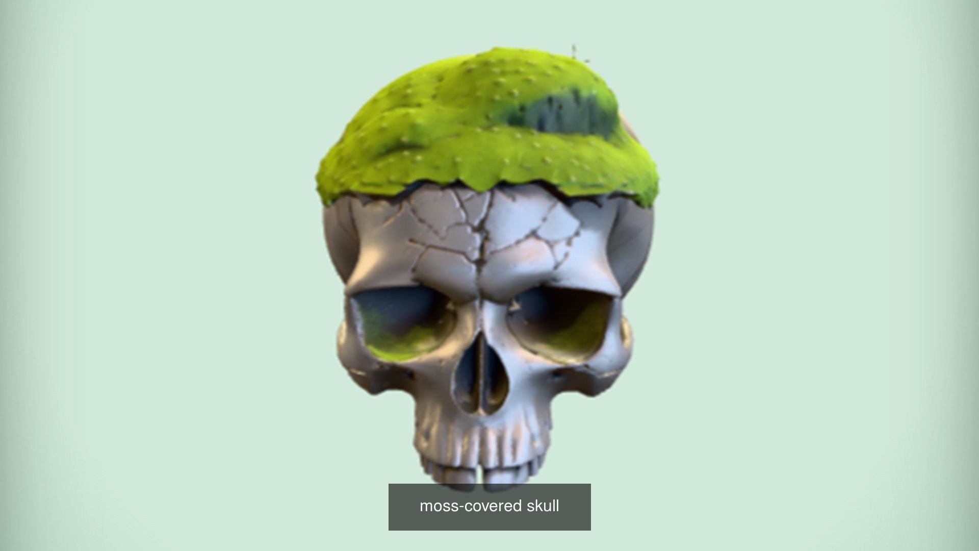 Skull 3D model collection for game ready _39