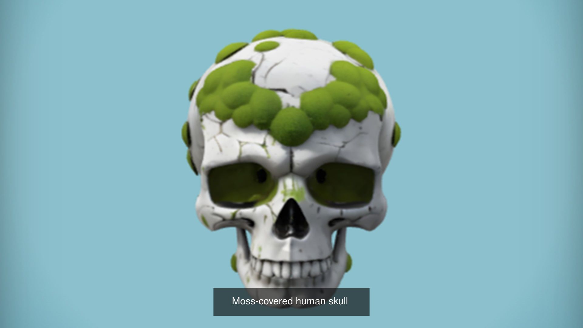 Skull 3D model collection for game ready _40