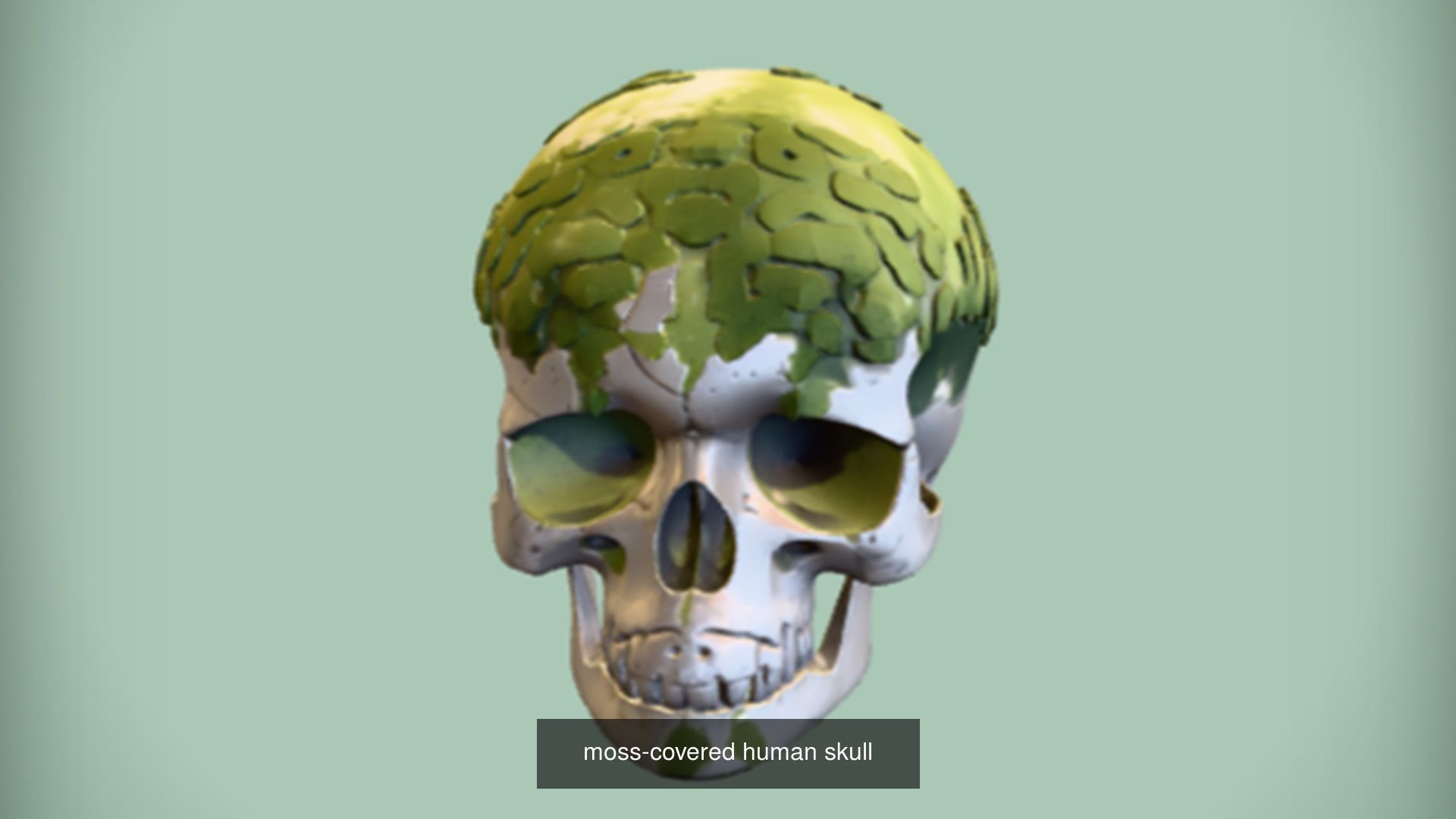 Skull 3D model collection for game ready _41