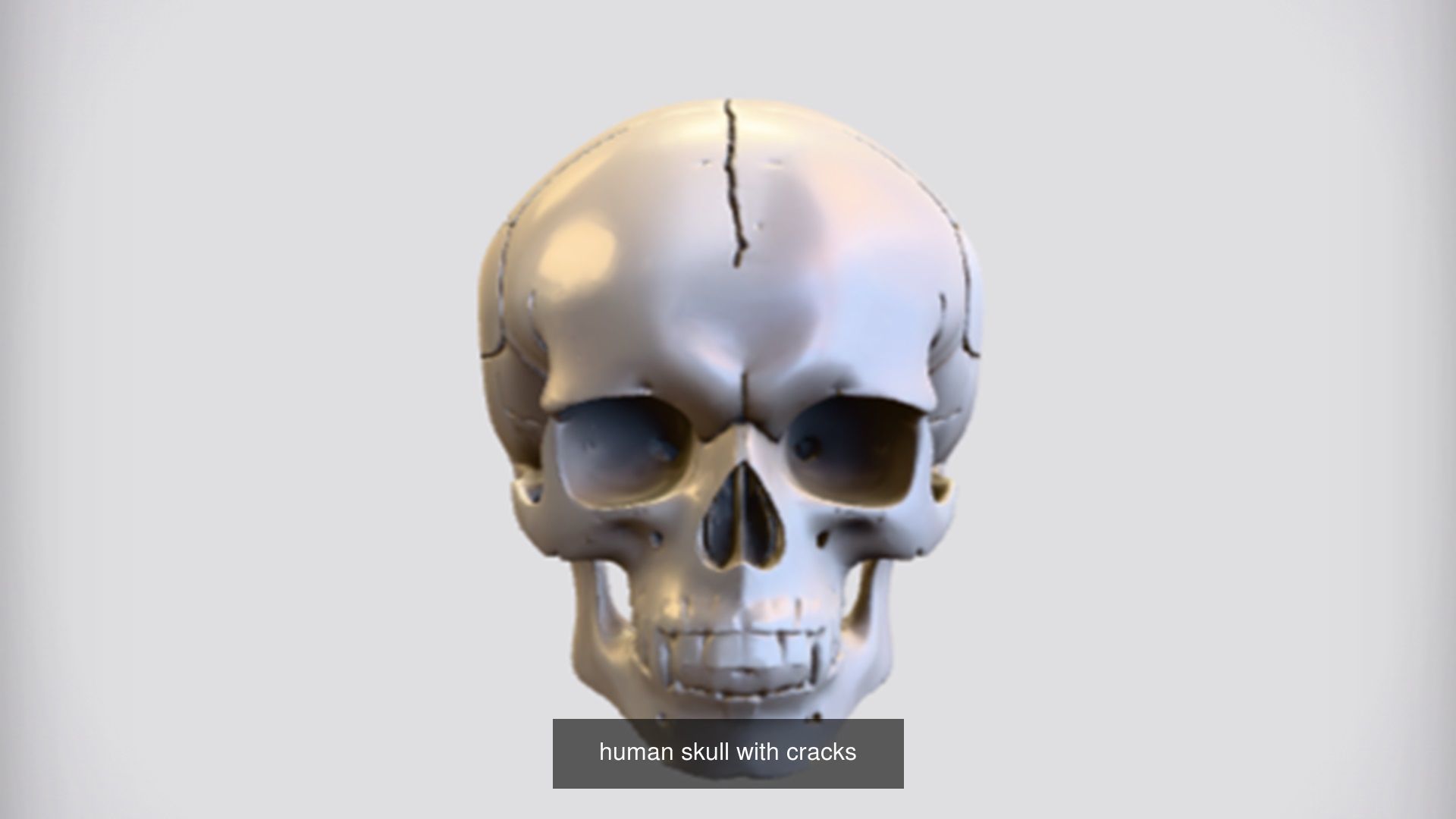 Skull 3D model collection for game ready _57