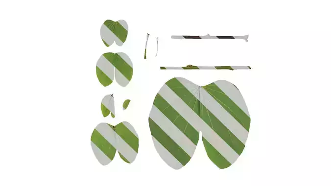 Anydrafts Bauhinia variegata Leaf 01 B Texture