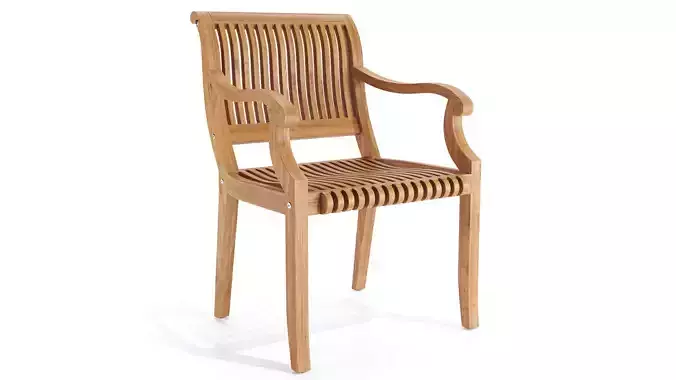 Palm Dining Armchair 