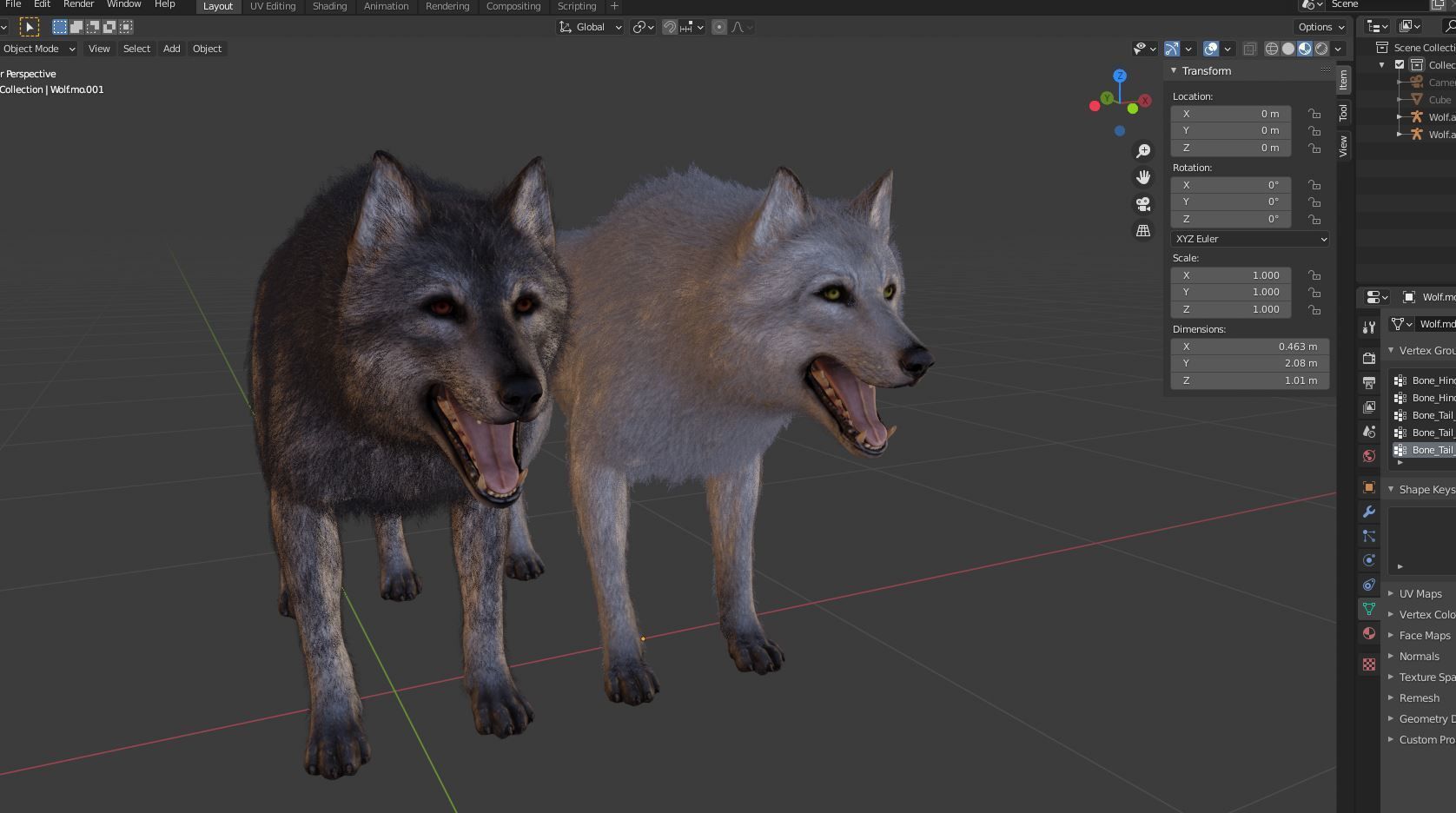 Realistic Wolf Low-poly 3D model_3