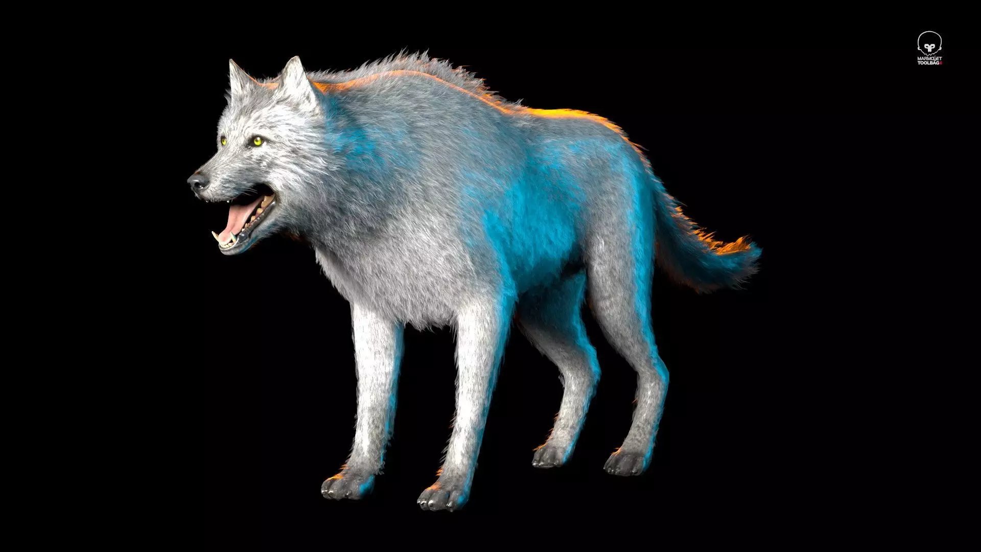 Realistic Wolf Low-poly 3D model_0
