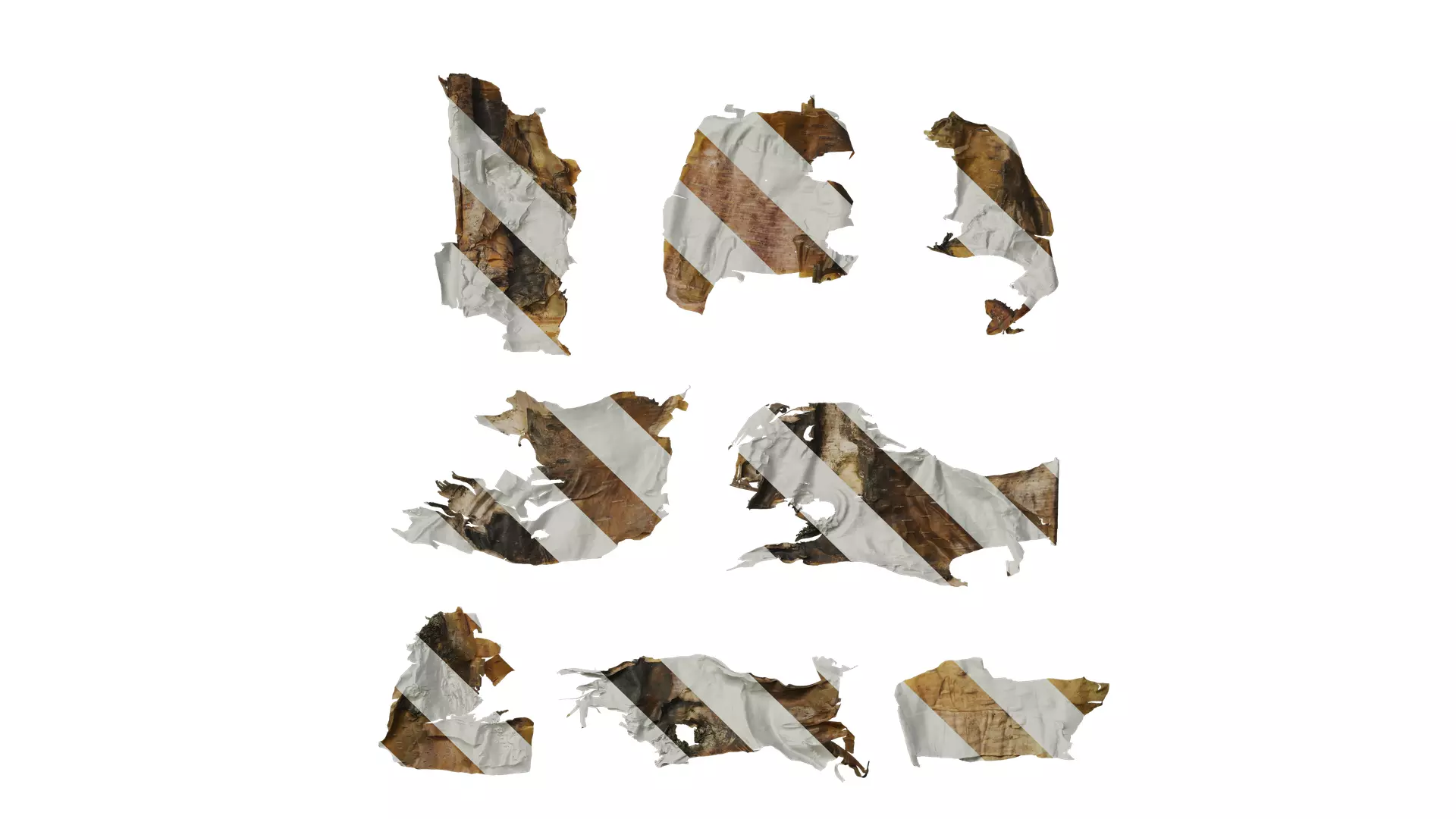 Anydrafts Betula ermanii Bark 02 Texture