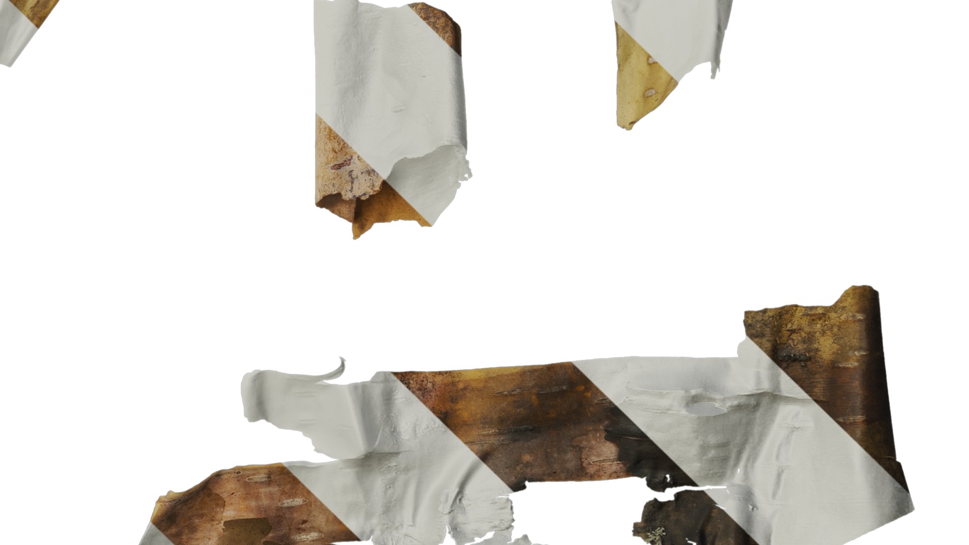 Anydrafts Betula ermanii Bark 03 Texture_4