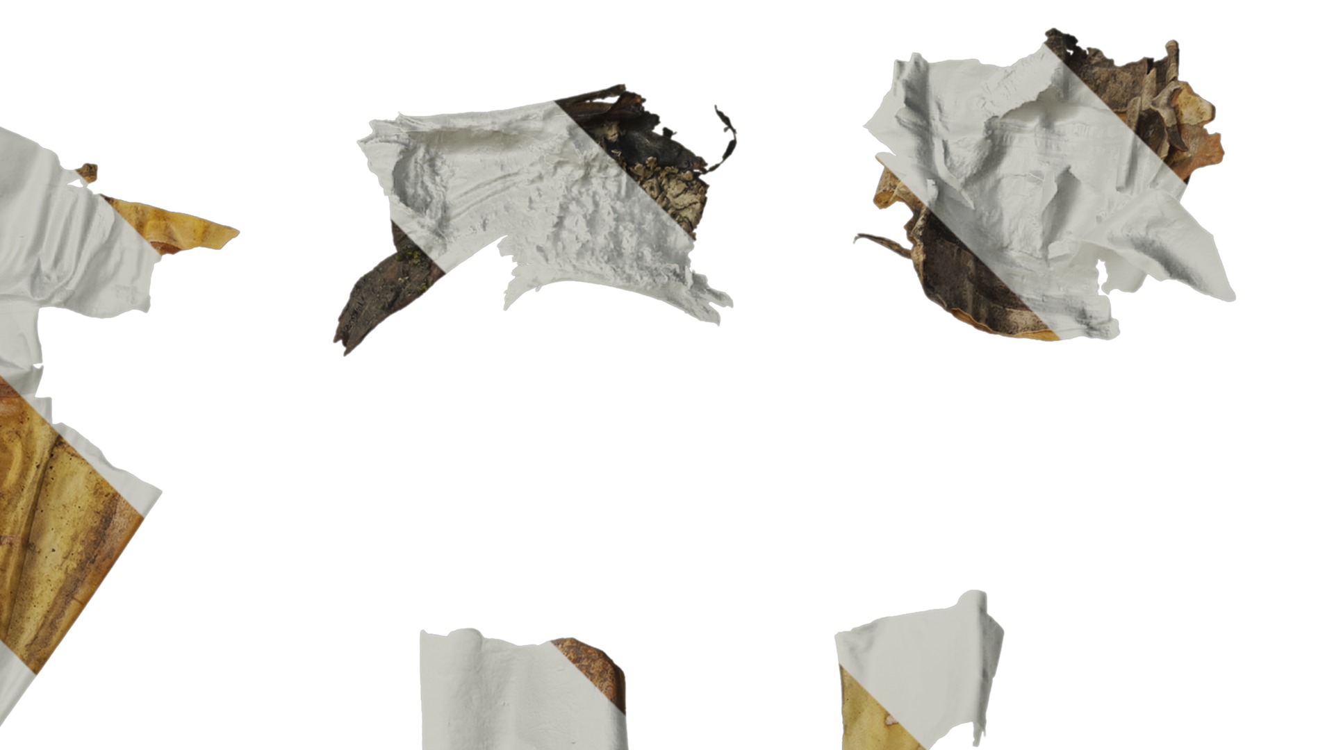 Anydrafts Betula ermanii Bark 03 Texture_2