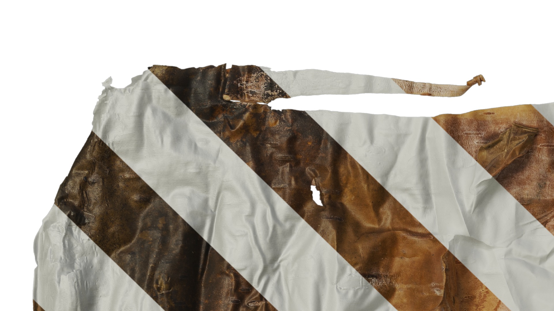 Anydrafts Betula ermanii Bark 03 Texture_1