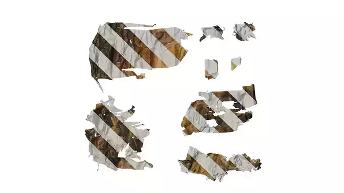 Anydrafts Betula ermanii Bark 03