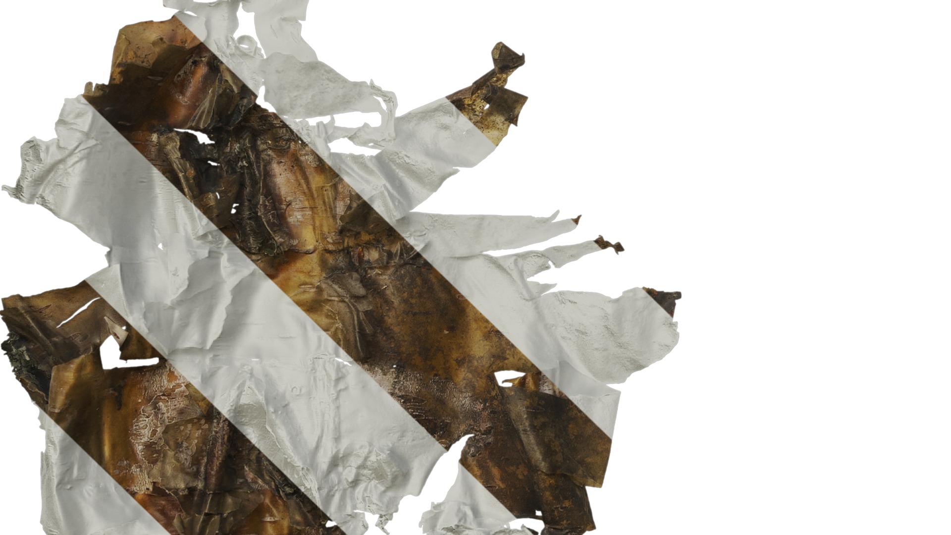 Anydrafts Betula ermanii Bark 03 Texture_5