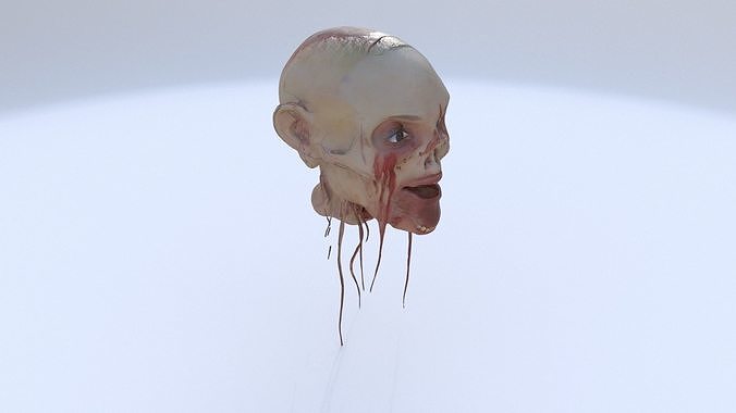 Penanggalan 3D model
