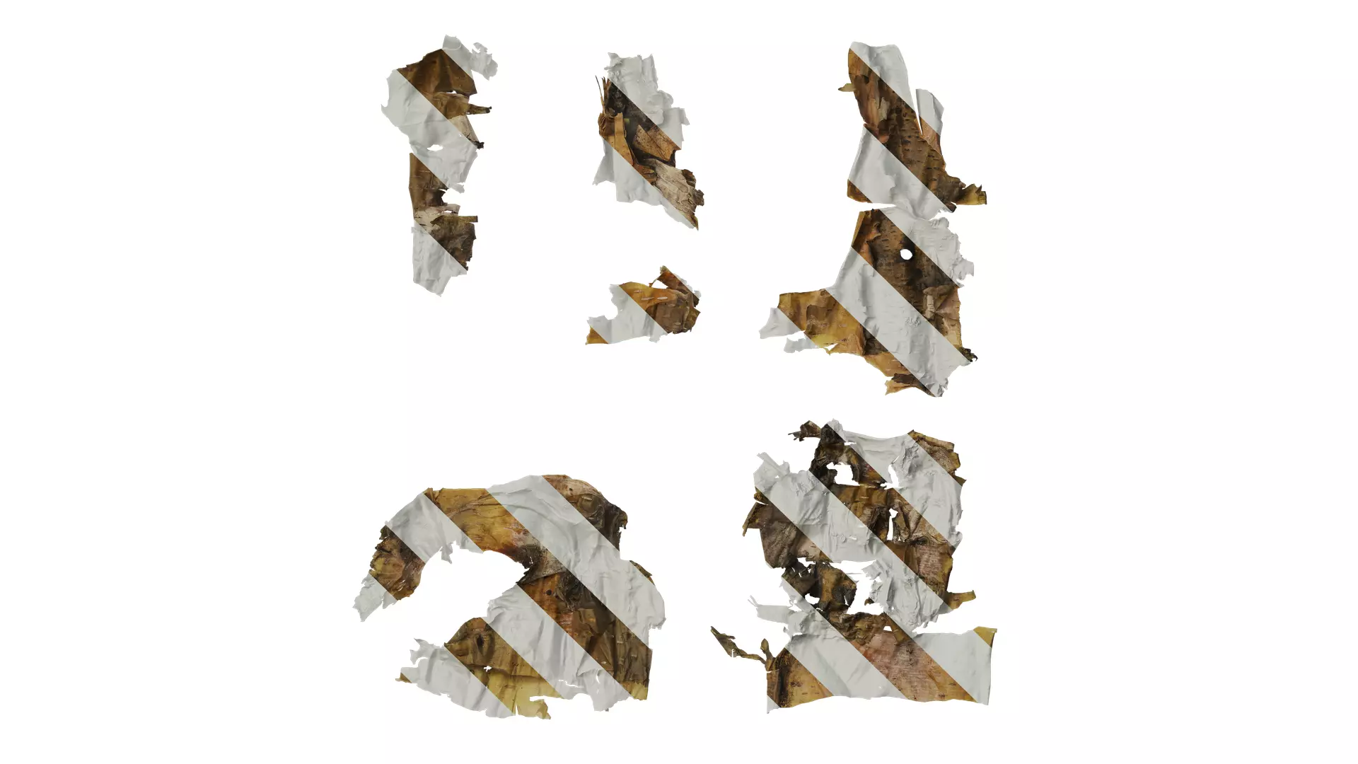 Anydrafts Betula ermanii Bark 04 Texture_0