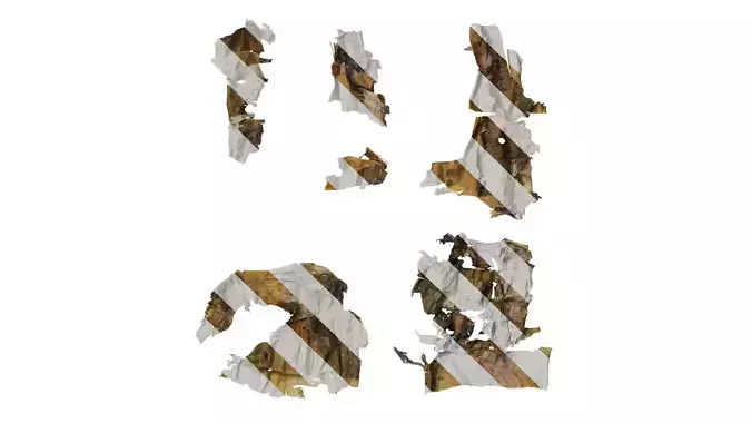 Anydrafts Betula ermanii Bark 04