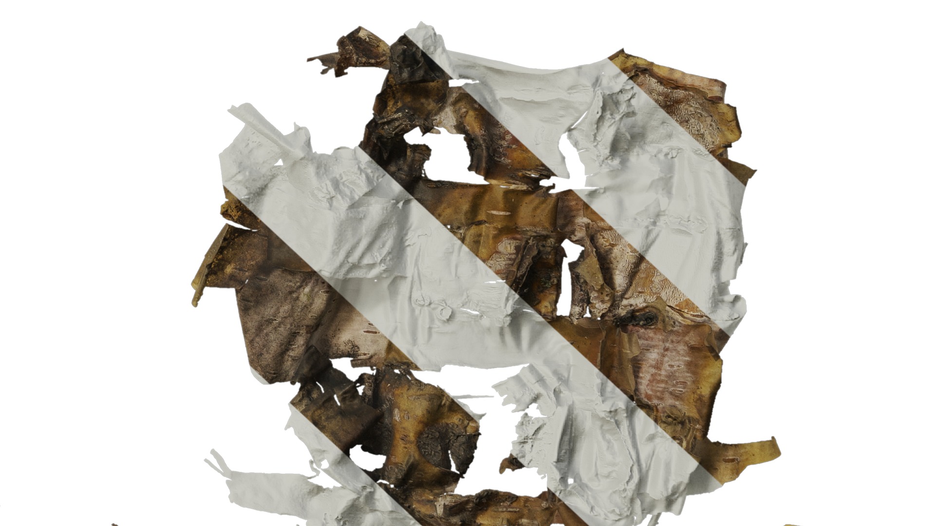 Anydrafts Betula ermanii Bark 04 Texture_6