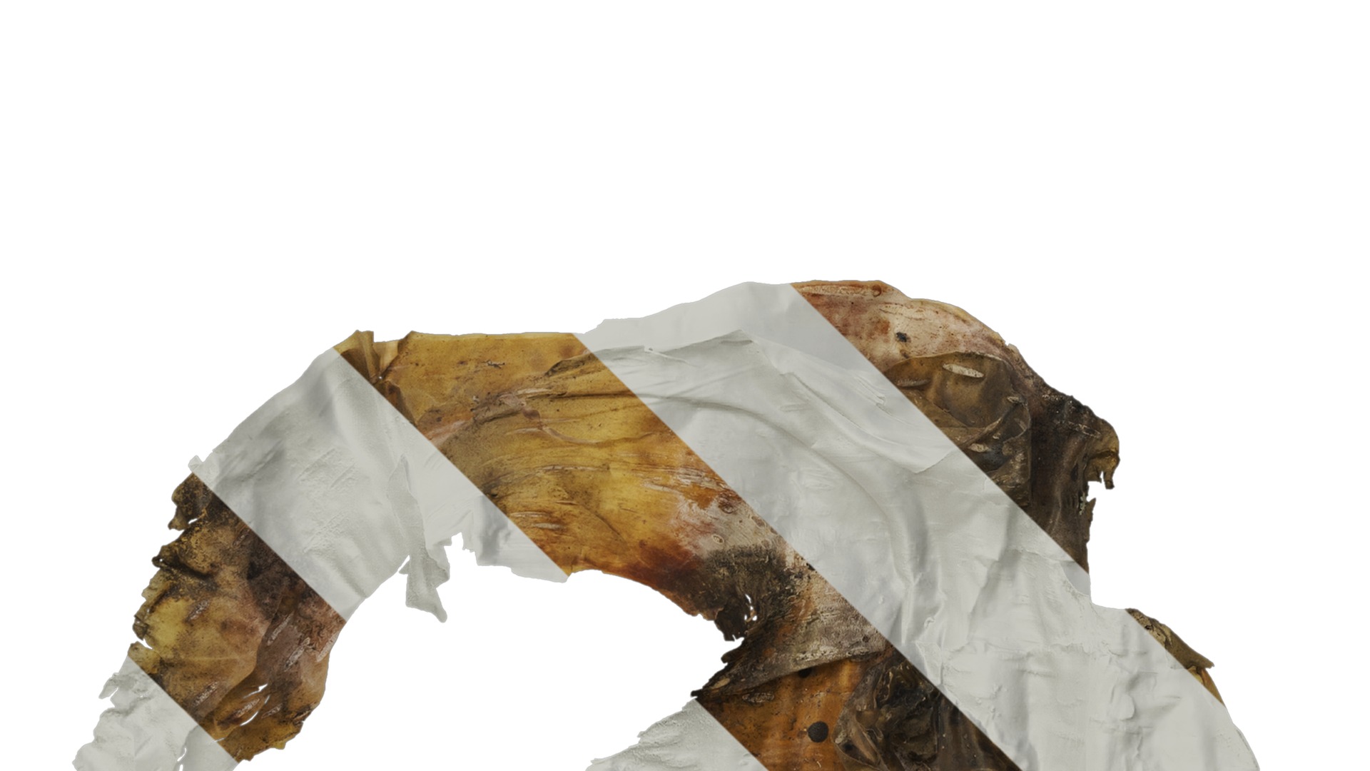 Anydrafts Betula ermanii Bark 04 Texture_5