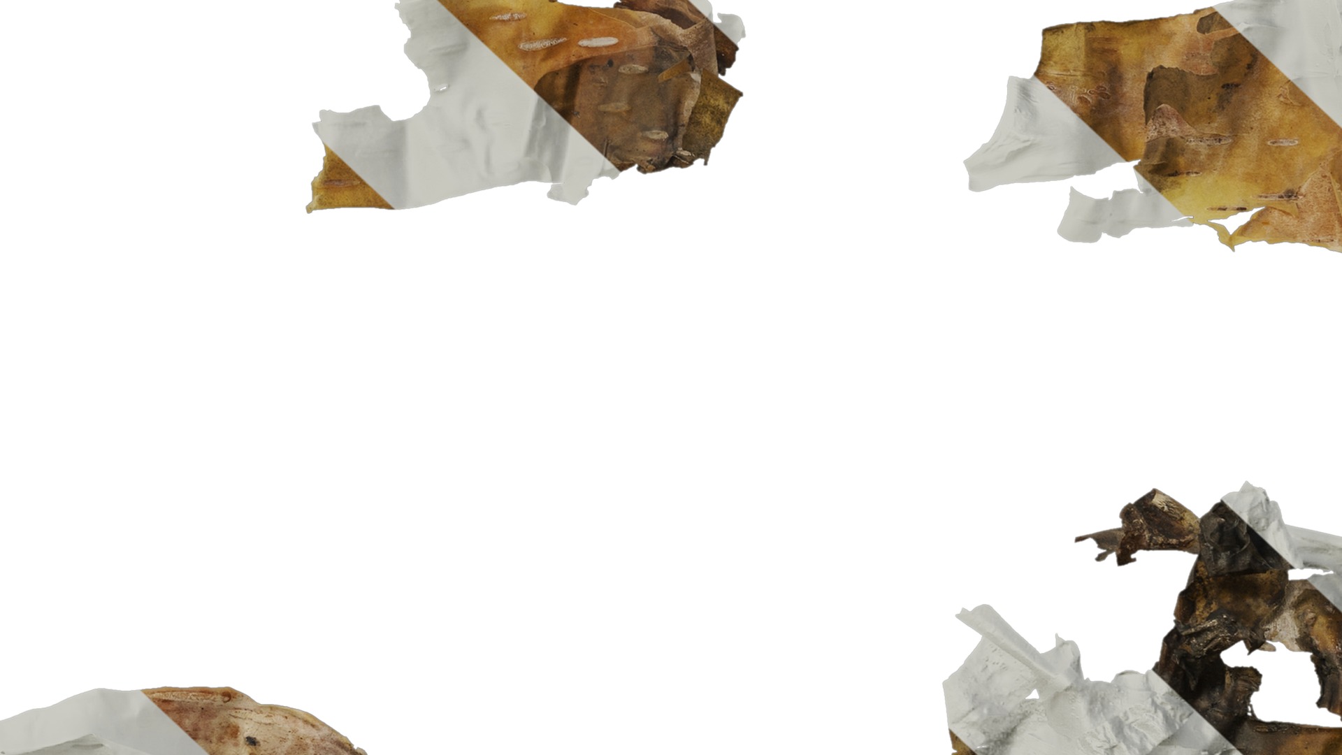 Anydrafts Betula ermanii Bark 04 Texture_7