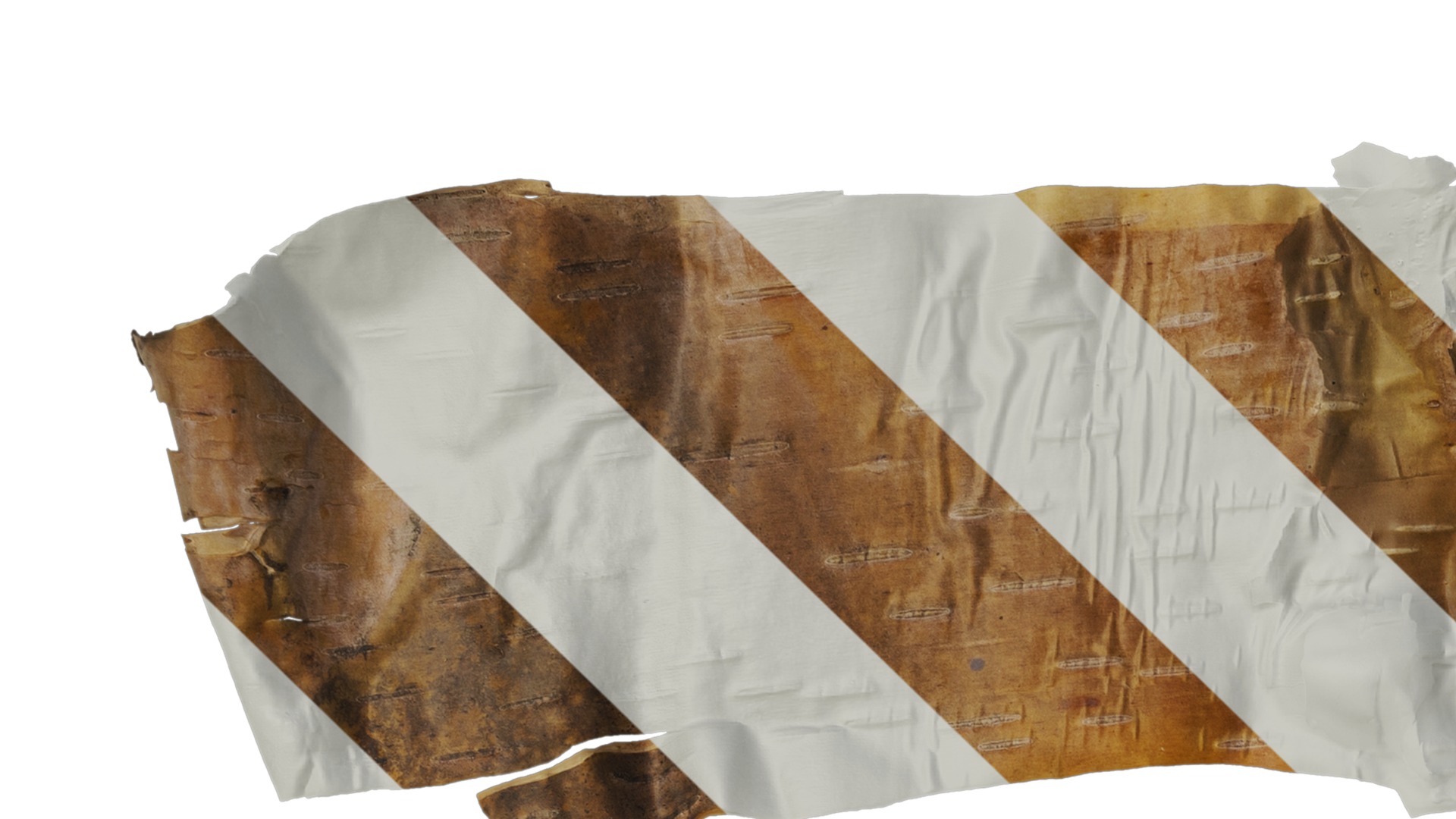 Anydrafts Betula ermanii Bark 05 Texture_1