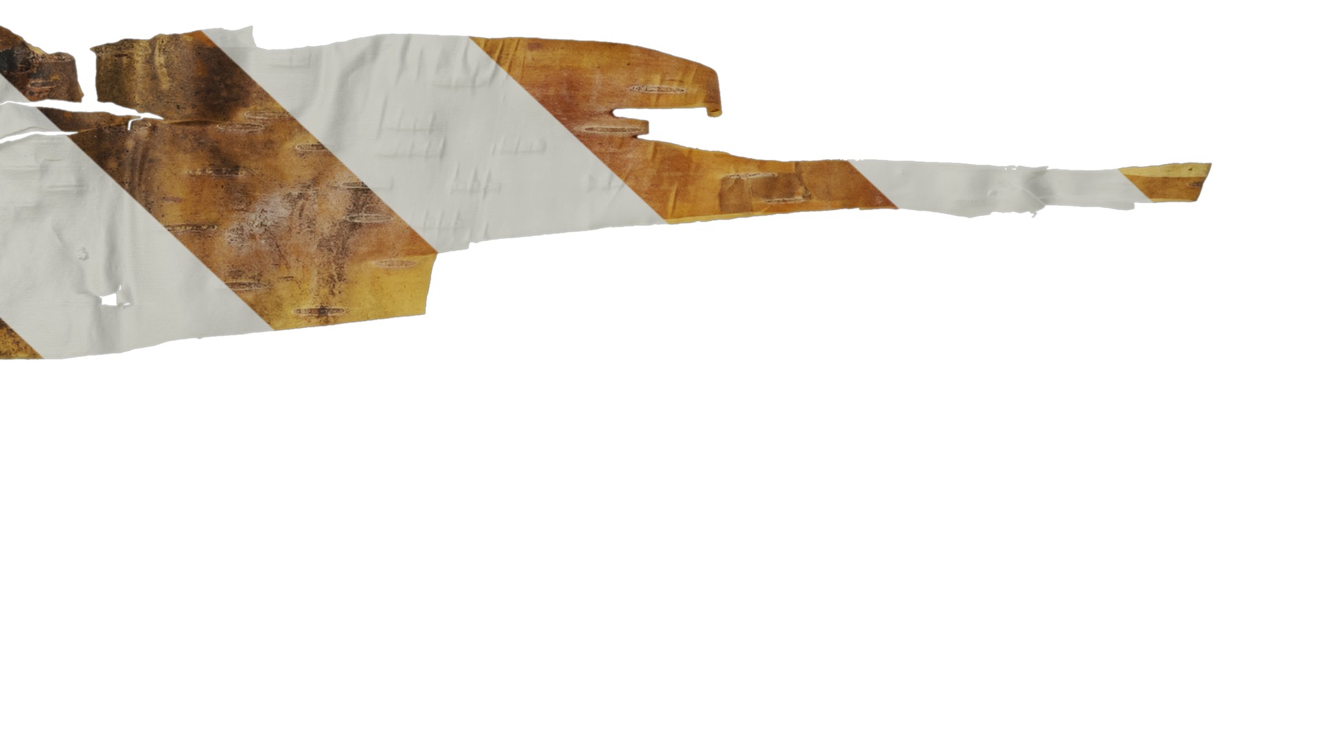 Anydrafts Betula ermanii Bark 05 Texture_7