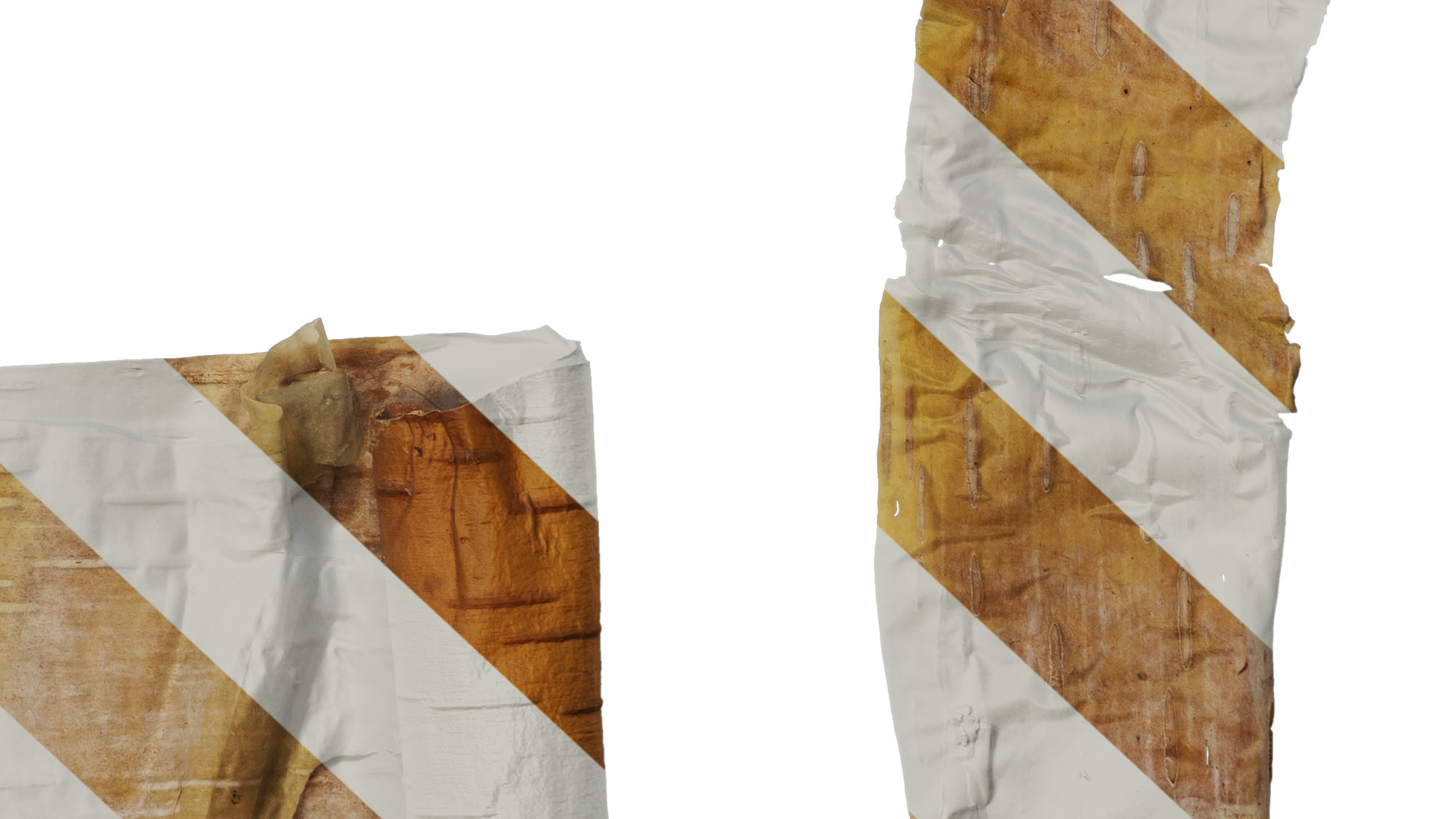 Anydrafts Betula ermanii Bark 05 Texture_6