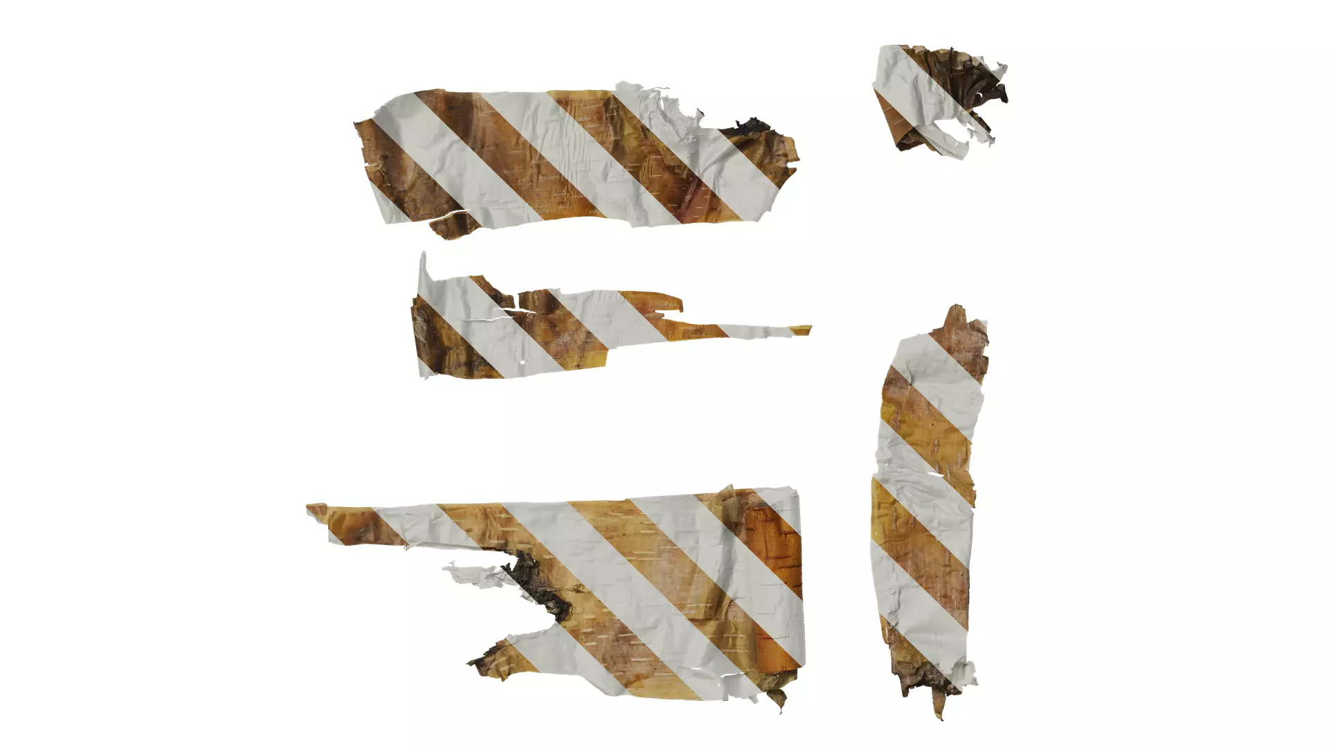 Anydrafts Betula ermanii Bark 05 Texture_0