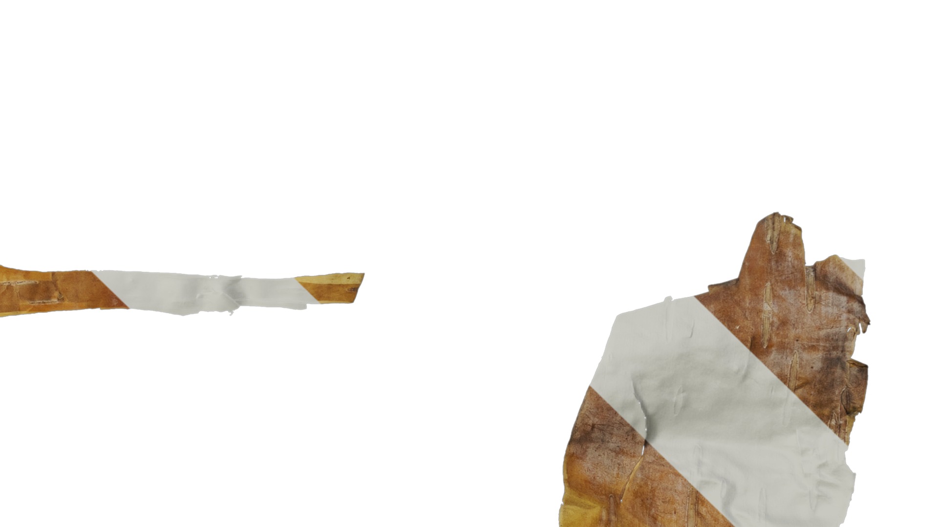 Anydrafts Betula ermanii Bark 05 Texture_4