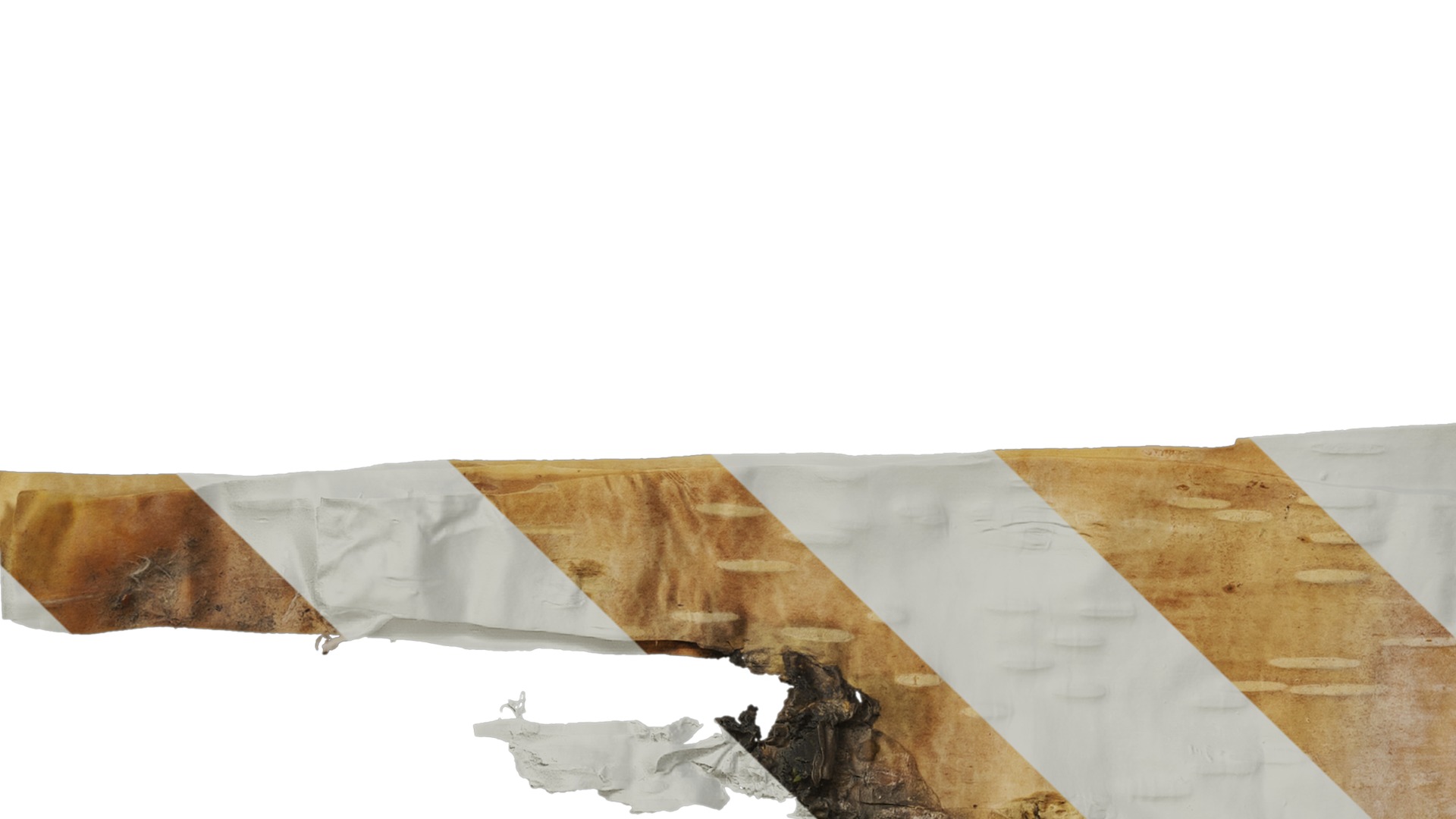 Anydrafts Betula ermanii Bark 05 Texture_5