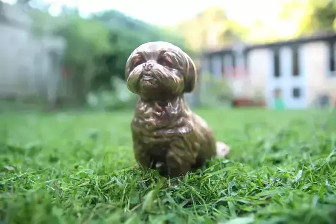 Bichon Frise Sitting Free 3D print model