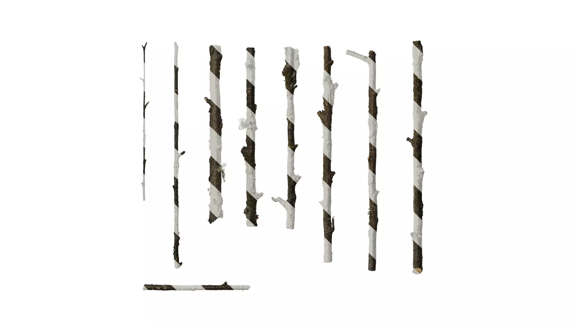 Anydrafts Betula ermanii Stem 01 Texture_0