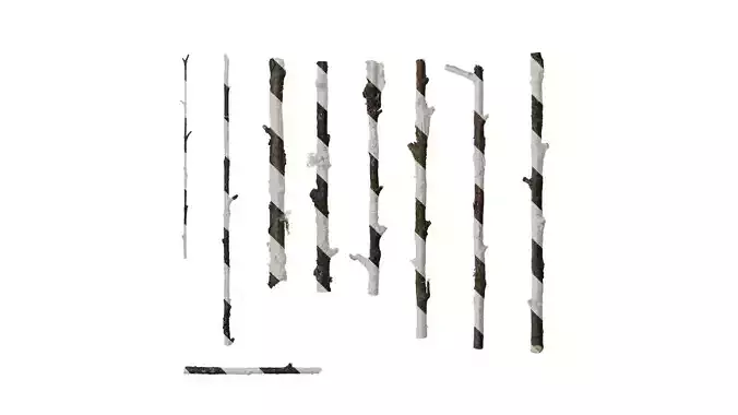 Anydrafts Betula ermanii Stem 01