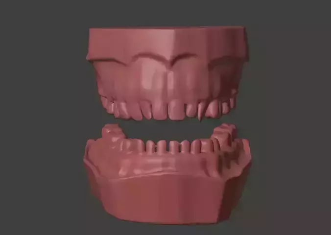 3D Model of Mouth with Teeth