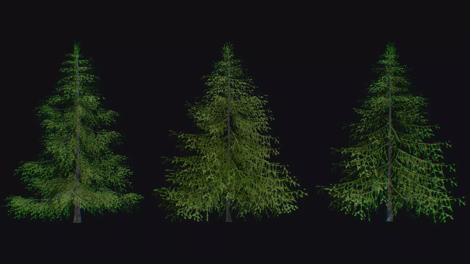 Sugar Pine Coniferous Tree Christmas Fir Eastern Hemlock Low-poly 3D model_0
