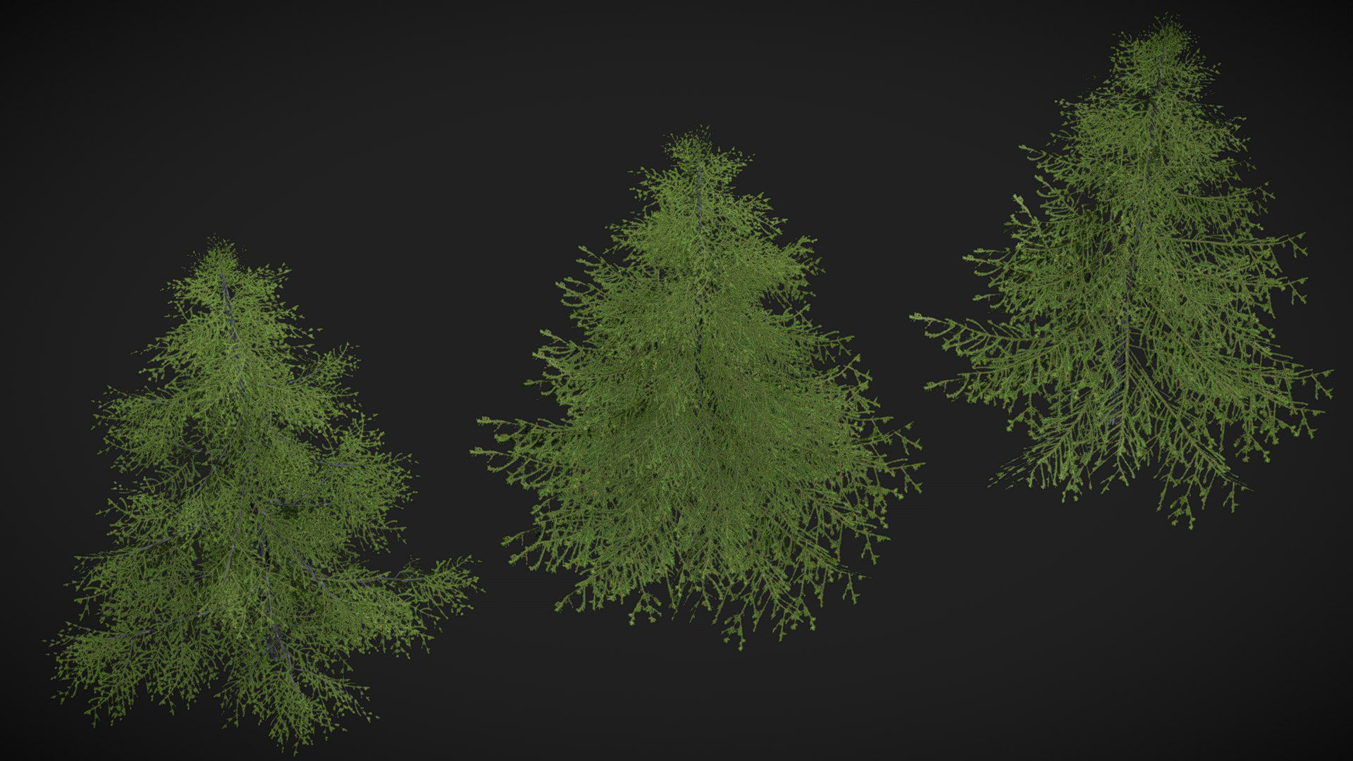 Sugar Pine Coniferous Tree Christmas Fir Eastern Hemlock Low-poly 3D model_2
