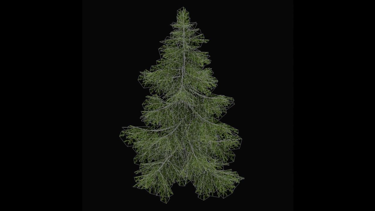 Sugar Pine Coniferous Tree Christmas Fir Eastern Hemlock Low-poly 3D model_13