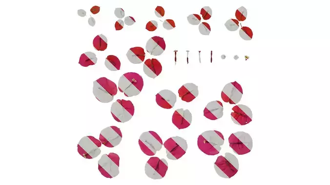 Anydrafts Bougainvillea glabra Flower 14