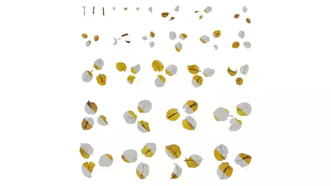 Anydrafts Bougainvillea glabra Flower 21