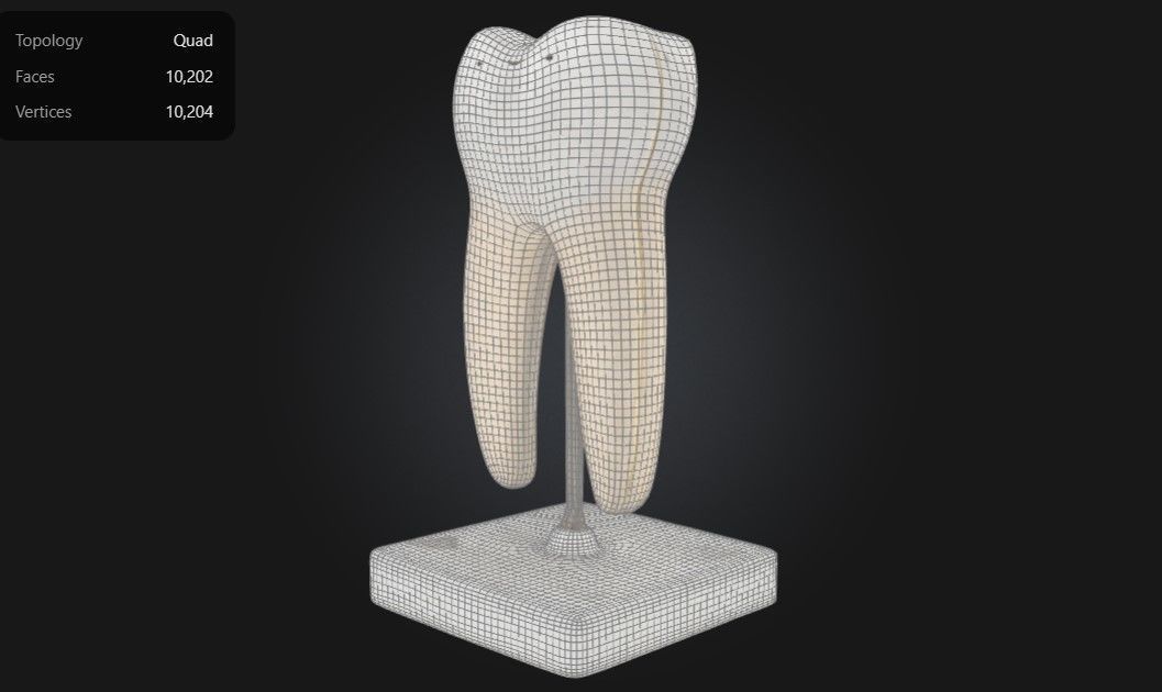 3D Model of Lower Twin Root Molar 3D print model_1