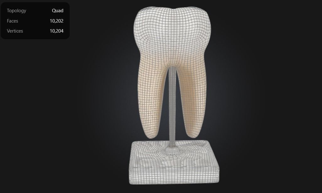 3D Model of Lower Twin Root Molar 3D print model_3