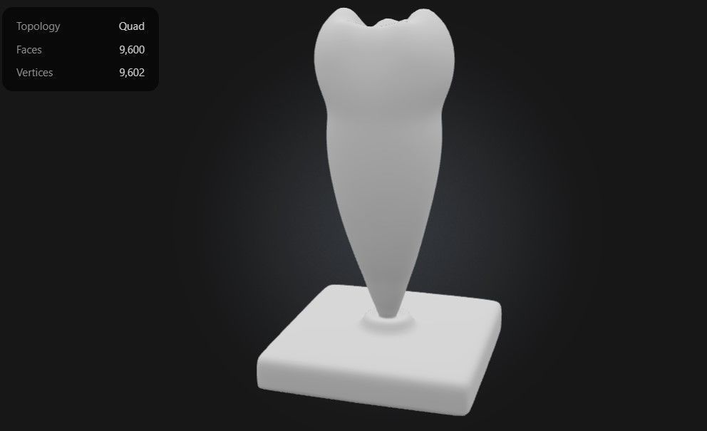 3D Model of Lower Single-Root Pre-Molar Tooth 3D print model_2