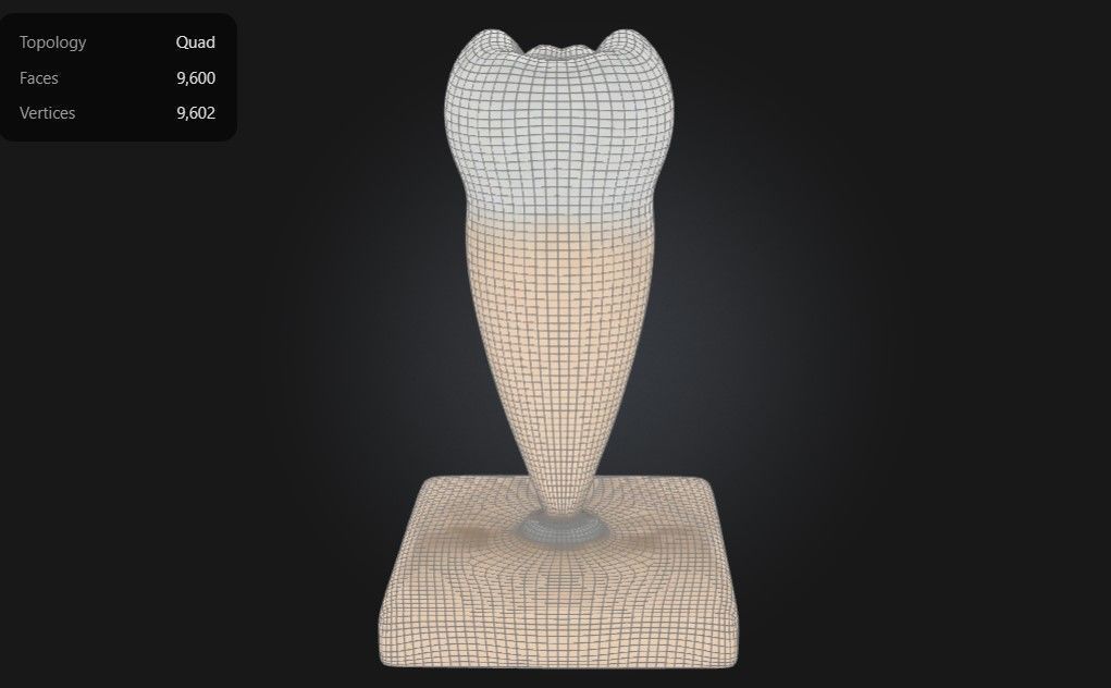 3D Model of Lower Single-Root Pre-Molar Tooth 3D print model_3