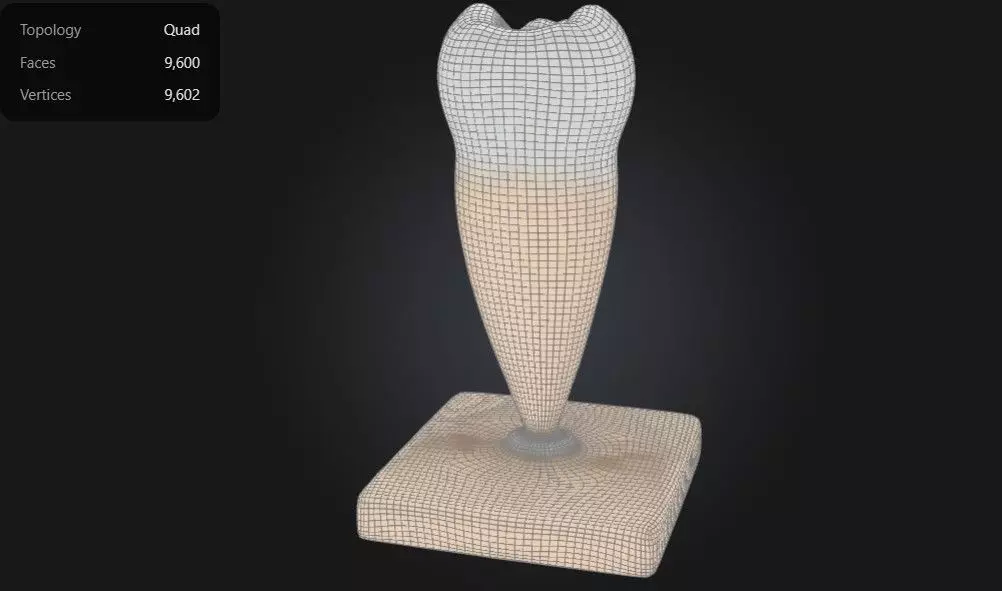 3D Model of Lower Single-Root Pre-Molar Tooth 3D print model_0