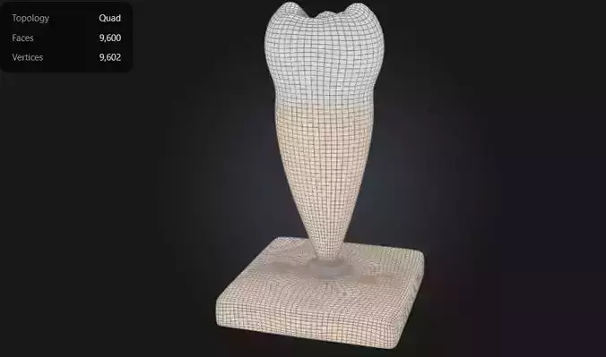 3D Model of Lower Single-Root Pre-Molar Tooth 3D print model
