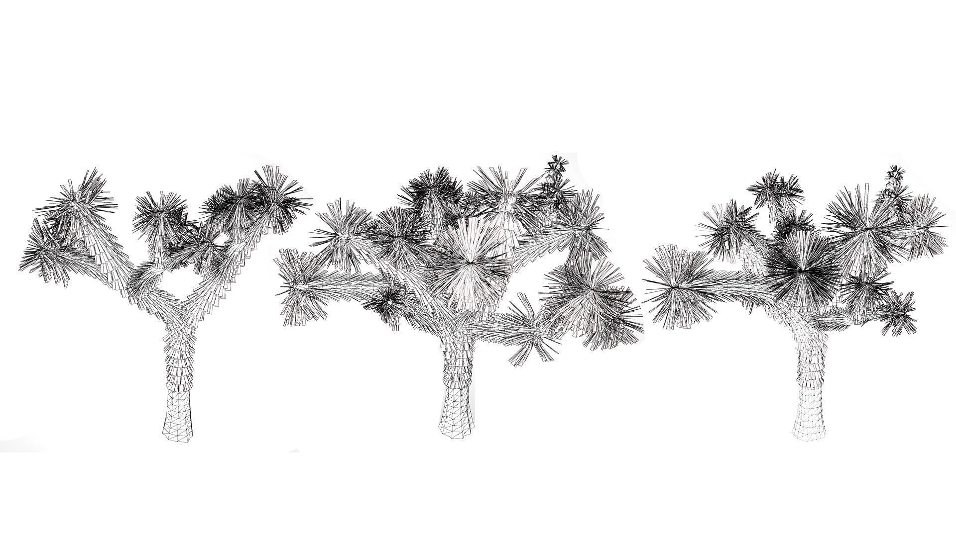 Joshua Tree 3D Models Low-poly 3D model_10