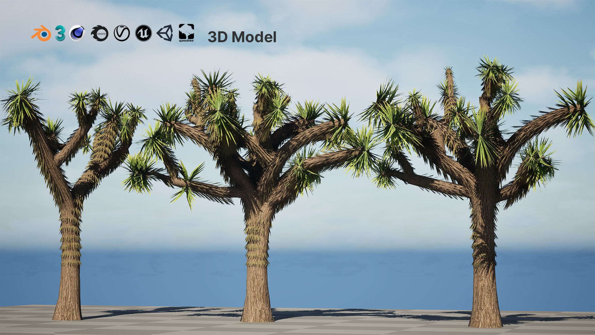 Joshua Tree 3D Models Low-poly 3D model_2